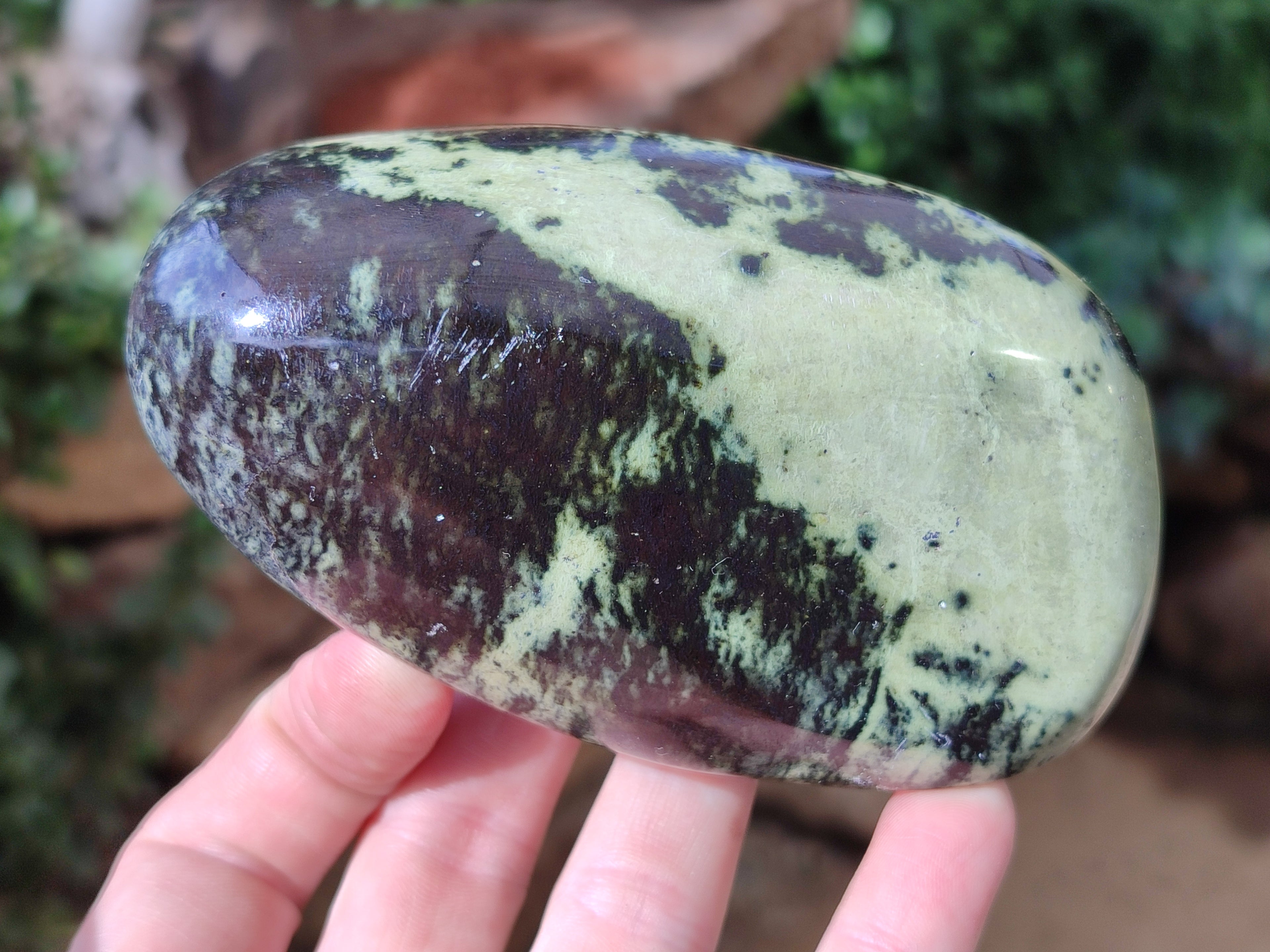 Polished Leopard Stone Free Forms x 4 From Nyanga, Zimbabwe - Toprock Gemstones and Minerals 