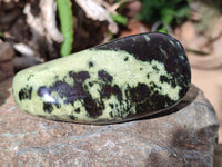 Polished Leopard Stone Free Forms x 4 From Nyanga, Zimbabwe - Toprock Gemstones and Minerals 