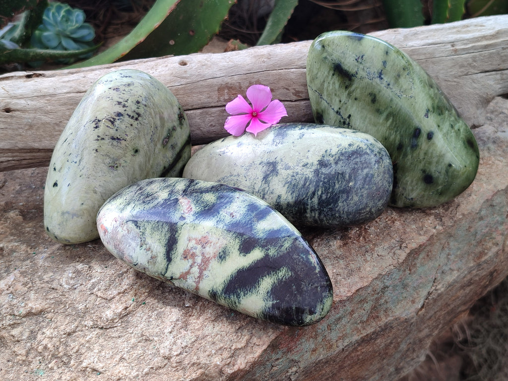 Polished Leopard Stone Free Forms x 4 From Nyanga, Zimbabwe - Toprock Gemstones and Minerals 
