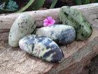 Polished Leopard Stone Free Forms x 4 From Nyanga, Zimbabwe - Toprock Gemstones and Minerals 