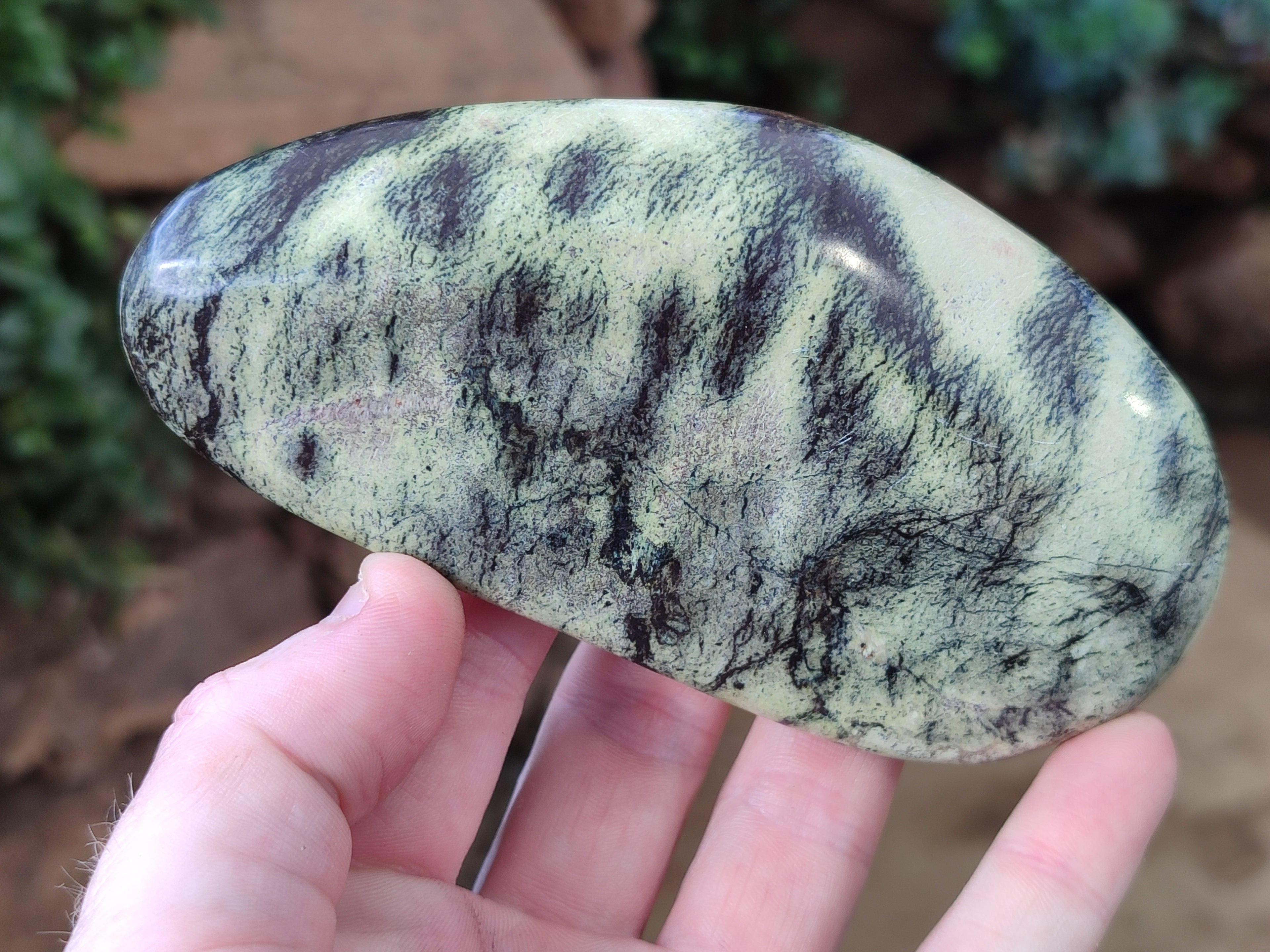 Polished Leopard Stone Free Forms x 4 From Nyanga, Zimbabwe - Toprock Gemstones and Minerals 