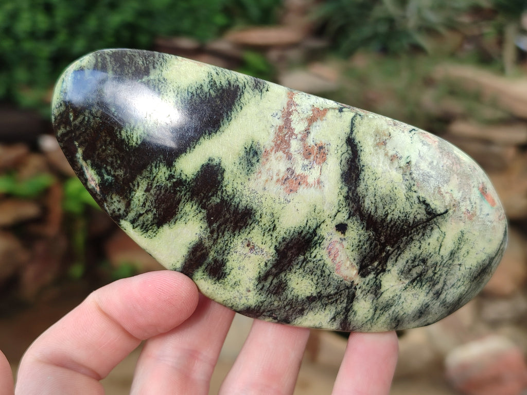 Polished Leopard Stone Free Forms x 4 From Nyanga, Zimbabwe - Toprock Gemstones and Minerals 