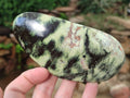 Polished Leopard Stone Free Forms x 4 From Nyanga, Zimbabwe - Toprock Gemstones and Minerals 