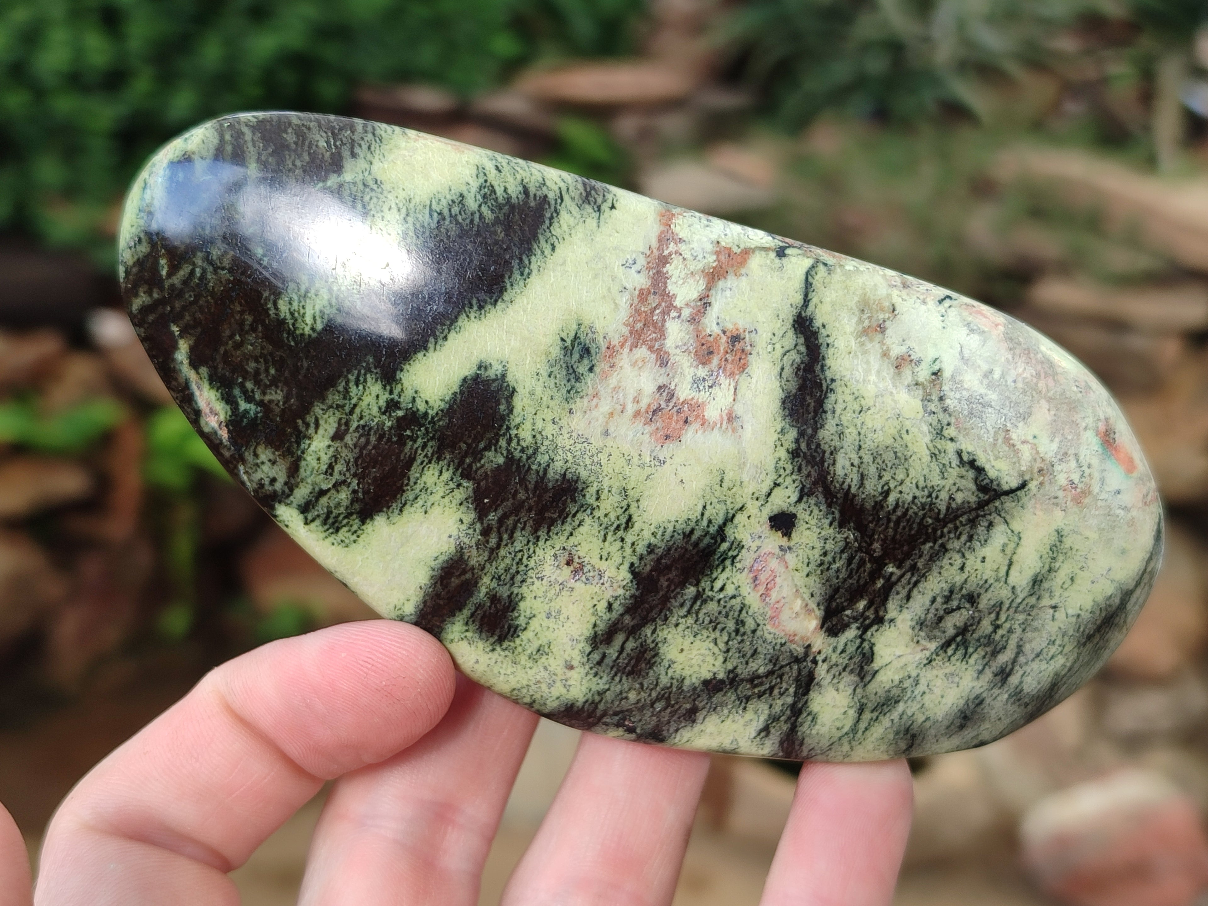Polished Leopard Stone Free Forms x 4 From Nyanga, Zimbabwe - Toprock Gemstones and Minerals 