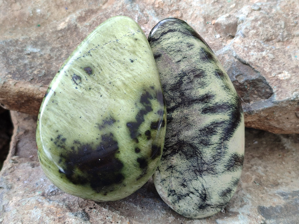 Polished Leopard Stone Free Forms x 4 From Nyanga, Zimbabwe - Toprock Gemstones and Minerals 