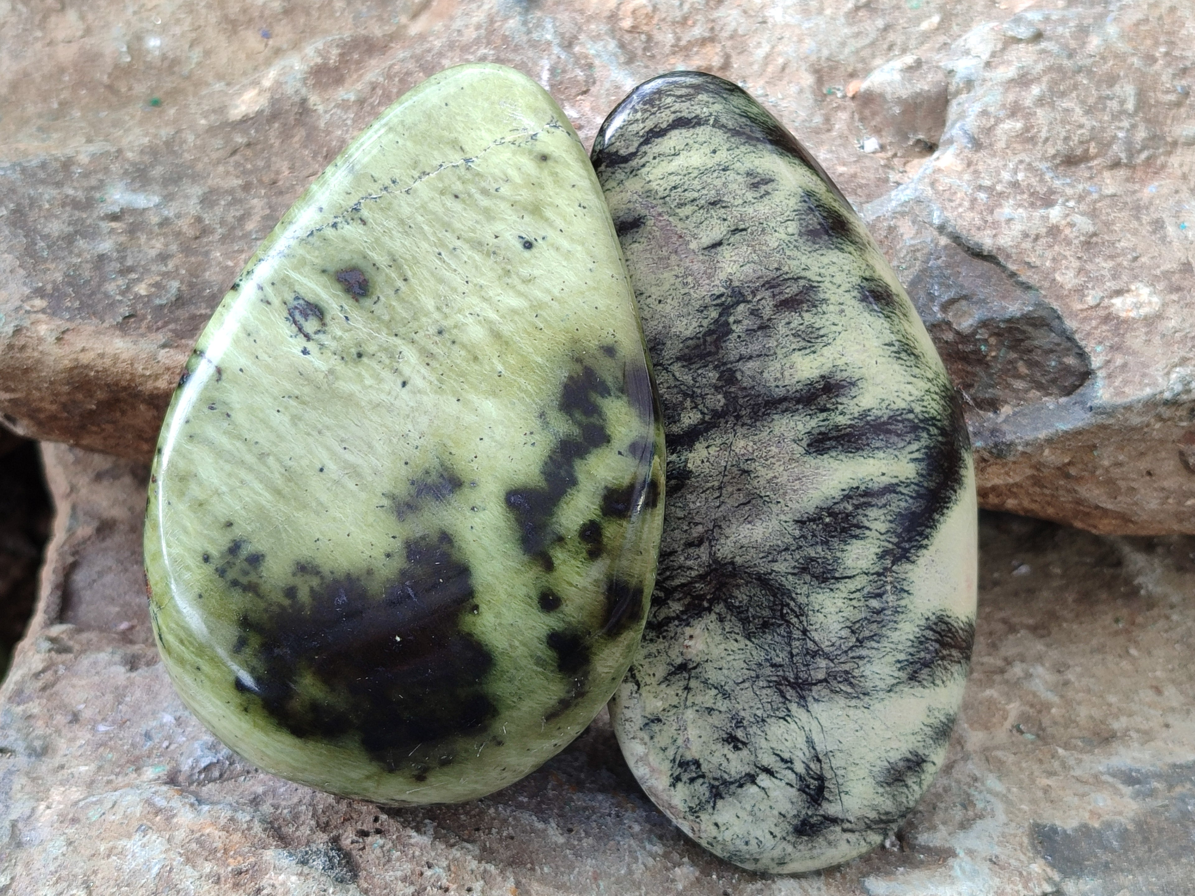 Polished Leopard Stone Free Forms x 4 From Nyanga, Zimbabwe - Toprock Gemstones and Minerals 