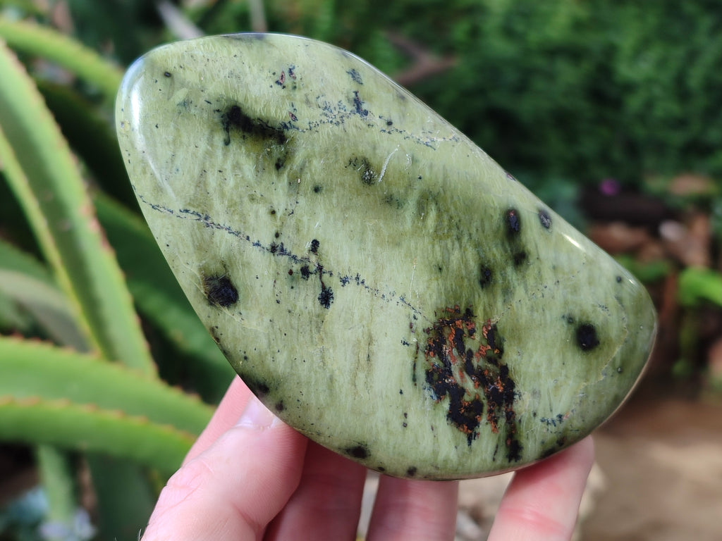 Polished Leopard Stone Free Forms x 4 From Nyanga, Zimbabwe - Toprock Gemstones and Minerals 
