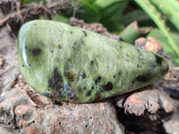 Polished Leopard Stone Free Forms x 4 From Nyanga, Zimbabwe - Toprock Gemstones and Minerals 