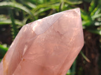 Polished Lavender Rose Quartz Points x 2 From Madagascar - Toprock Gemstones and Minerals 