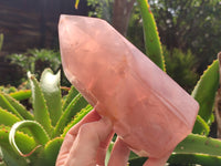 Polished Lavender Rose Quartz Points x 2 From Madagascar - Toprock Gemstones and Minerals 