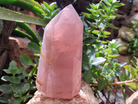 Polished Lavender Rose Quartz Points x 2 From Madagascar - Toprock Gemstones and Minerals 