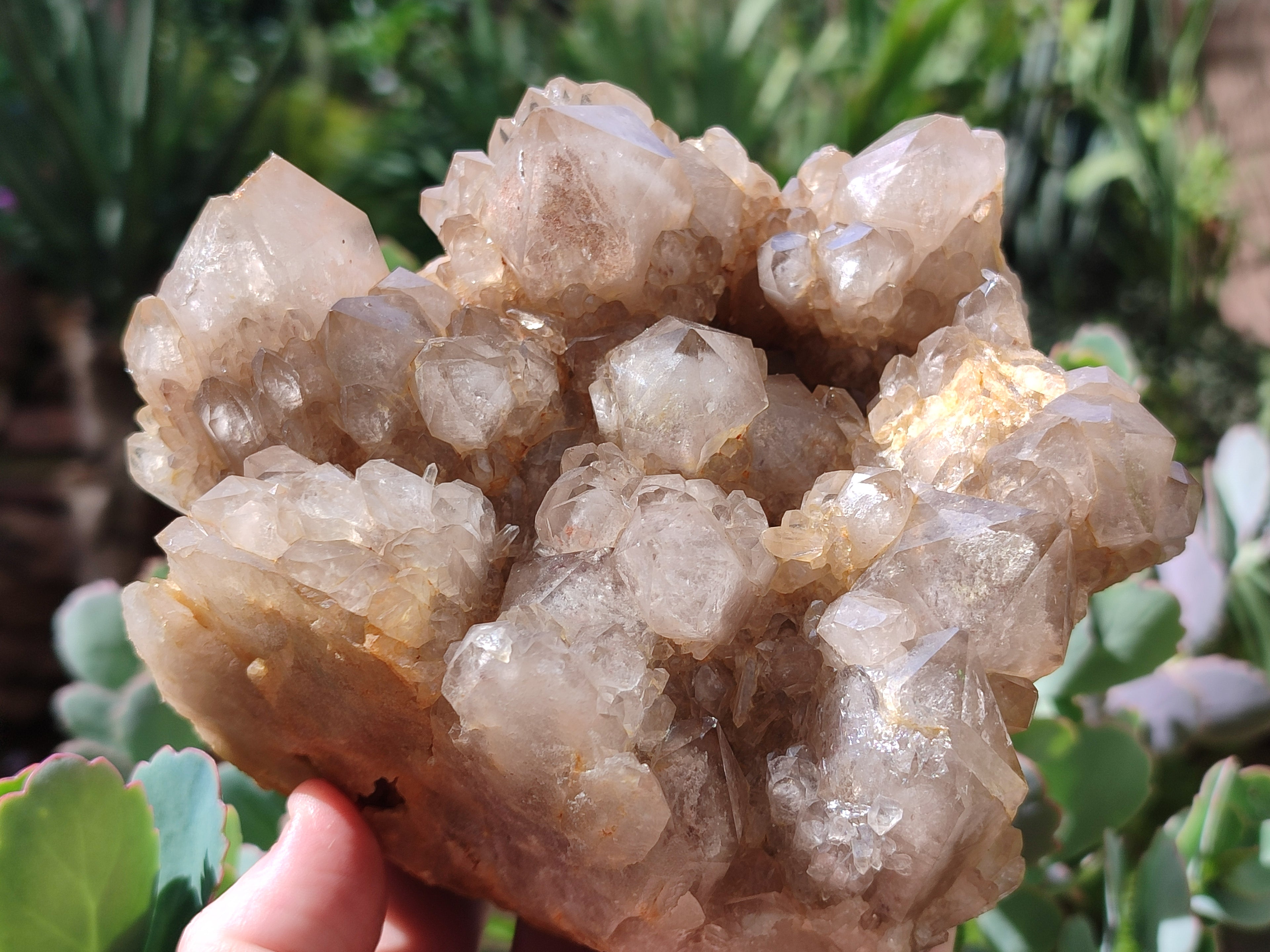 Natural Smokey Phantom Quartz Cluster x 1 From Luena, Congo - Toprock Gemstones and Minerals 