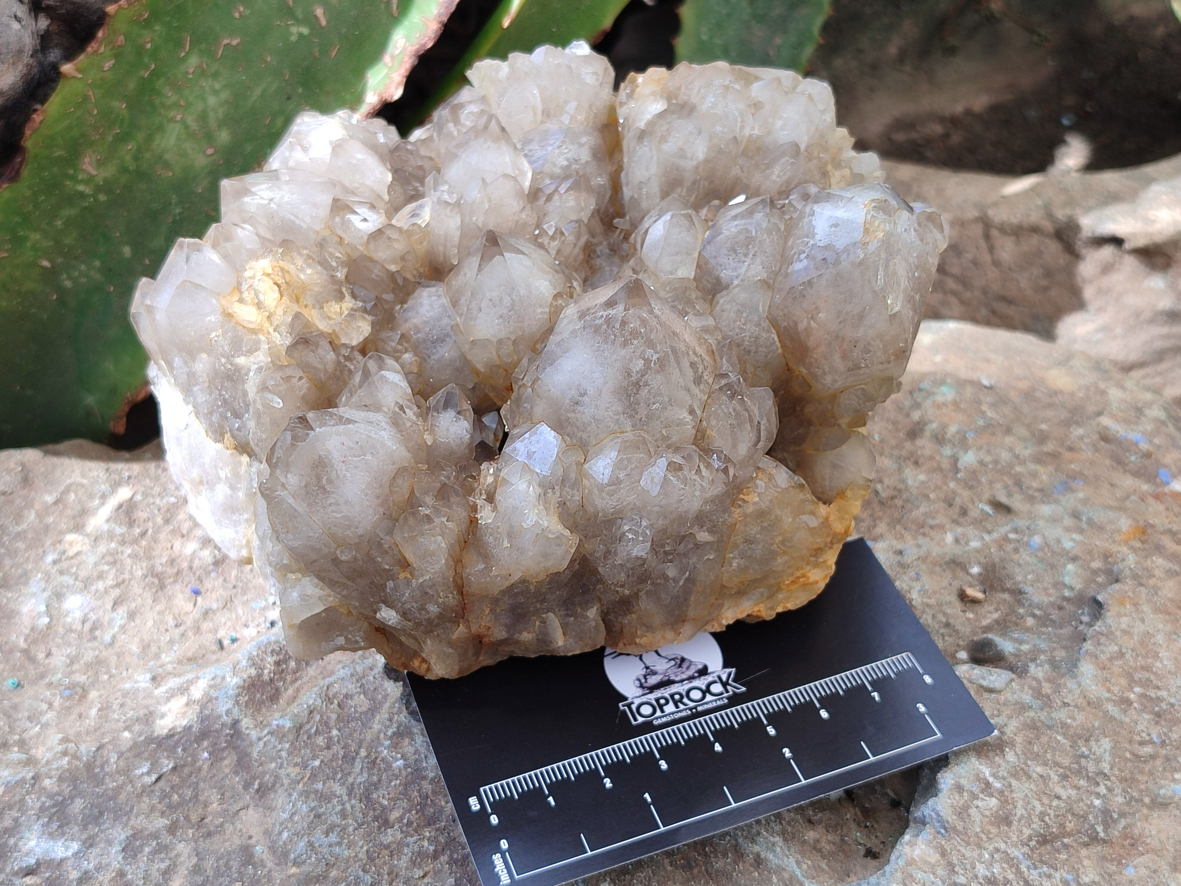 Natural Smokey Phantom Quartz Cluster x 1 From Luena, Congo - Toprock Gemstones and Minerals 
