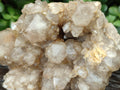 Natural Smokey Phantom Quartz Cluster x 1 From Luena, Congo - Toprock Gemstones and Minerals 