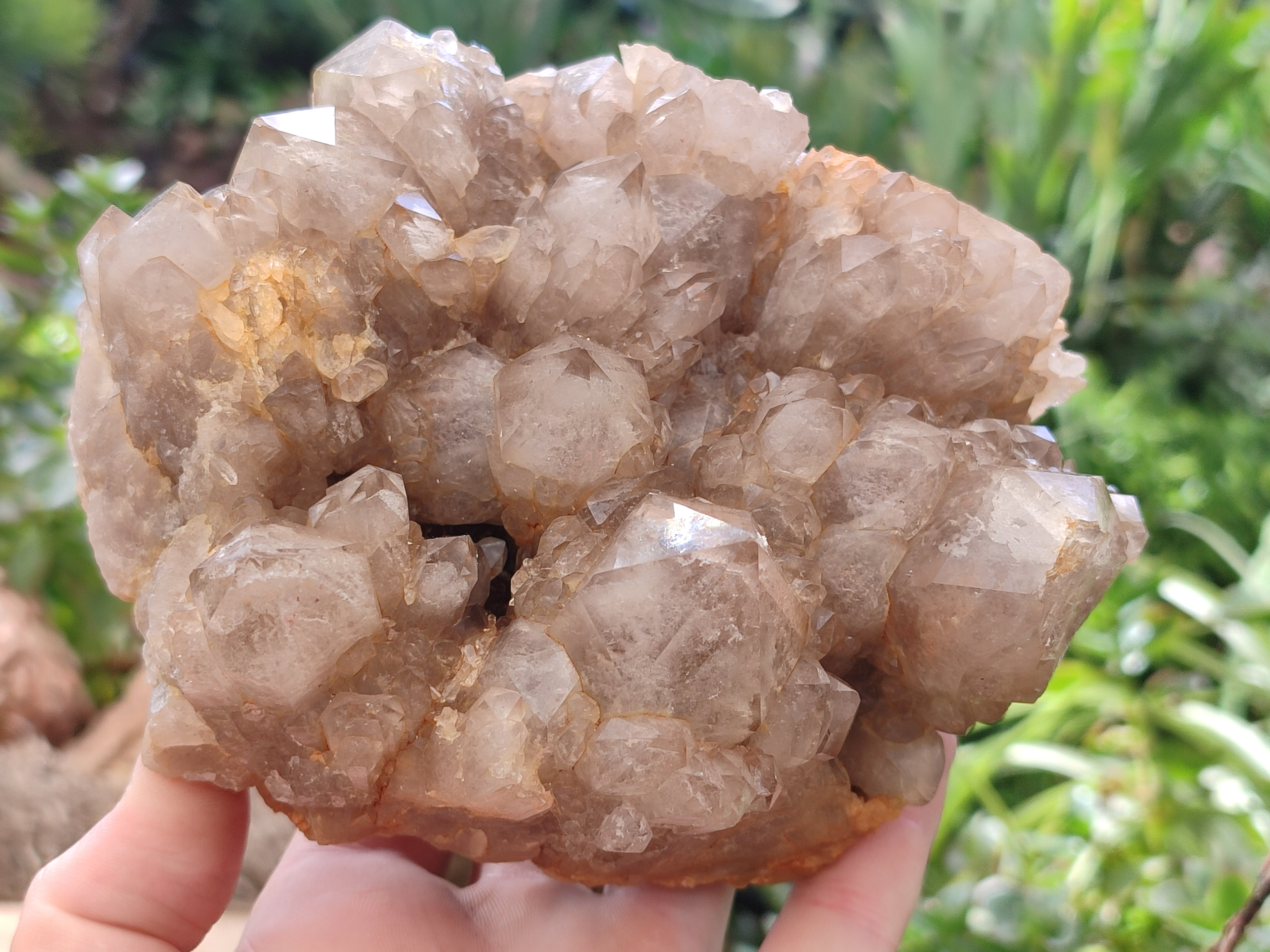 Natural Smokey Phantom Quartz Cluster x 1 From Luena, Congo - Toprock Gemstones and Minerals 
