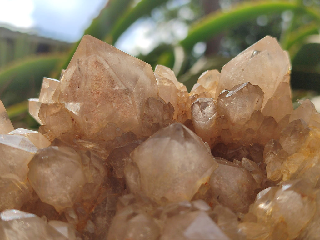 Natural Smokey Phantom Quartz Cluster x 1 From Luena, Congo - Toprock Gemstones and Minerals 