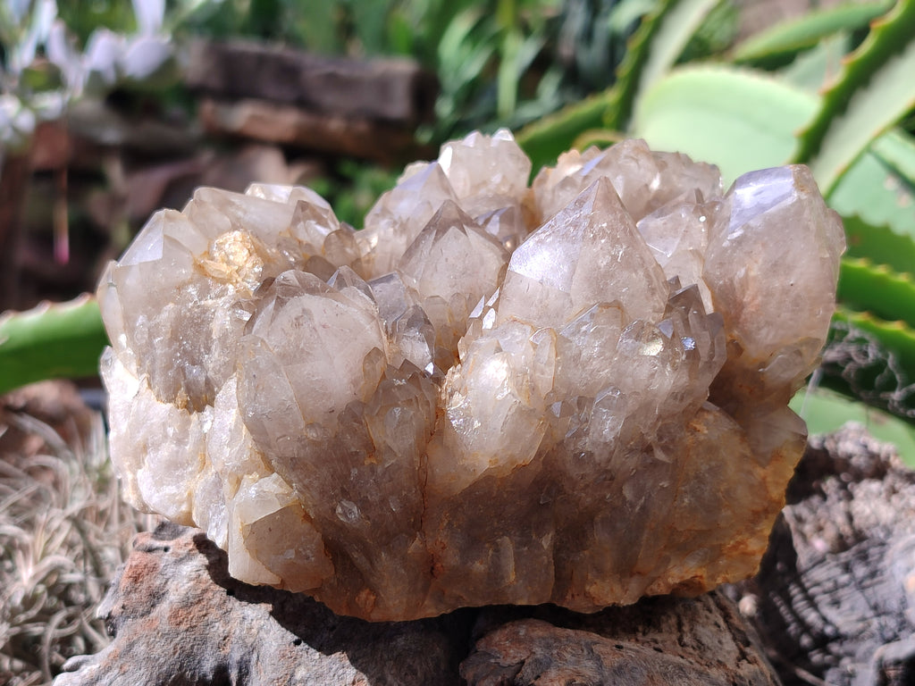 Natural Smokey Phantom Quartz Cluster x 1 From Luena, Congo - Toprock Gemstones and Minerals 