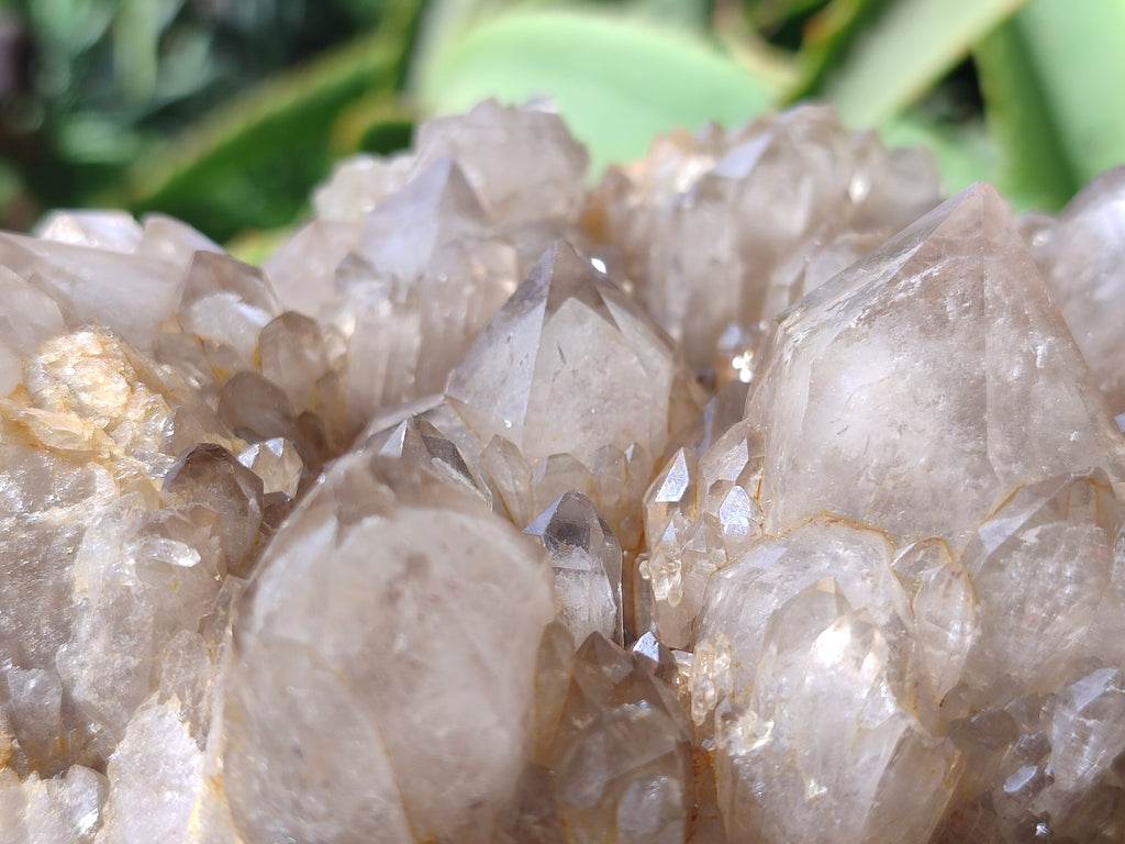 Natural Smokey Phantom Quartz Cluster x 1 From Luena, Congo - Toprock Gemstones and Minerals 