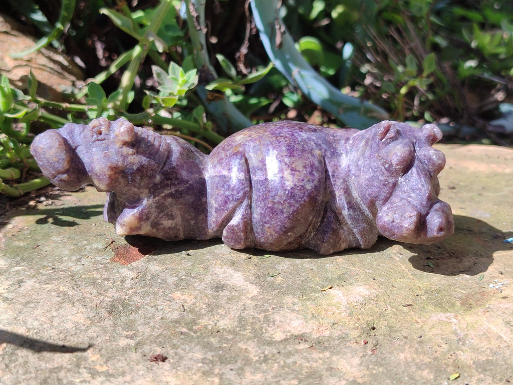 Hand Made Stone Hippo Carvings x 3 From Zimbabwe - Toprock Gemstones and Minerals 