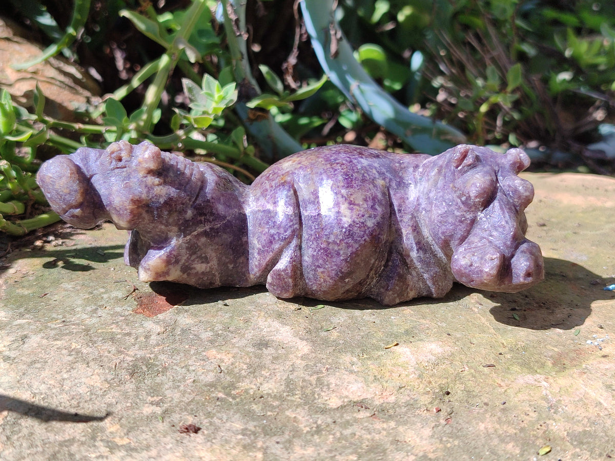 Hand Made Stone Hippo Carvings x 3 From Zimbabwe - Toprock Gemstones and Minerals 