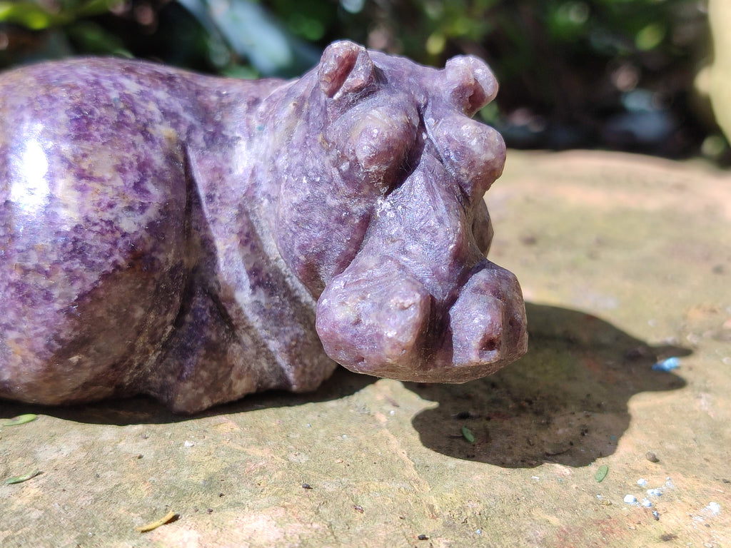 Hand Made Stone Hippo Carvings x 3 From Zimbabwe - Toprock Gemstones and Minerals 