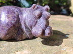 Hand Made Stone Hippo Carvings x 3 From Zimbabwe - Toprock Gemstones and Minerals 