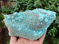 Natural Calcite Coated Chrysocolla Specimen x 1 From Congo - Toprock Gemstones and Minerals 