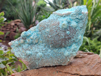 Natural Calcite Coated Chrysocolla Specimen x 1 From Congo - Toprock Gemstones and Minerals 
