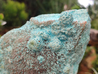 Natural Calcite Coated Chrysocolla Specimen x 1 From Congo - Toprock Gemstones and Minerals 
