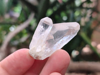 Natural Quartz Crystals x 70 From Mpika, Zambia - Toprock Gemstones and Minerals 