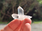Natural Quartz Crystals x 70 From Mpika, Zambia - Toprock Gemstones and Minerals 
