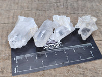 Natural Quartz Crystals x 70 From Mpika, Zambia - Toprock Gemstones and Minerals 