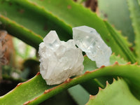 Natural Quartz Crystals x 70 From Mpika, Zambia - Toprock Gemstones and Minerals 