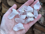 Natural Quartz Crystals x 70 From Mpika, Zambia - Toprock Gemstones and Minerals 