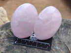 Polished Rose Quartz Standing Free Forms x 3 From Madagascar - Toprock Gemstones and Minerals 