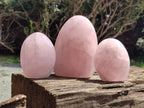 Polished Rose Quartz Standing Free Forms x 3 From Madagascar - Toprock Gemstones and Minerals 