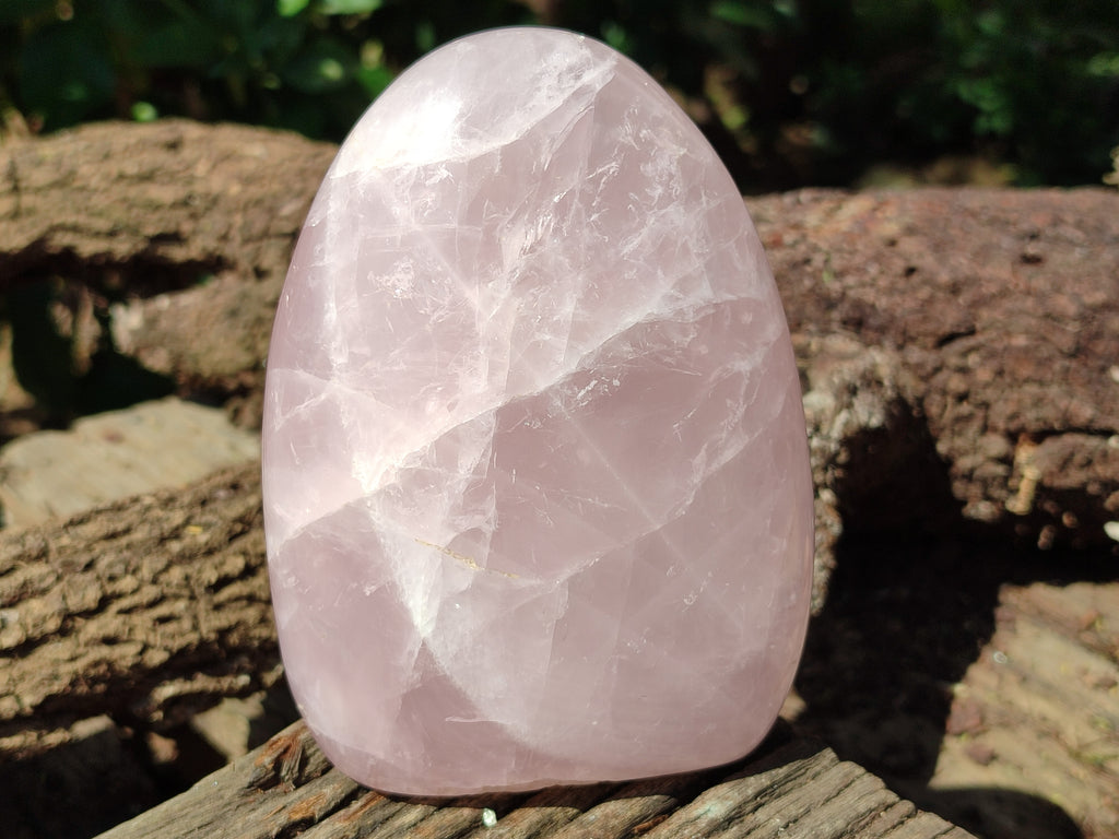 Polished Rose Quartz Standing Free Forms x 3 From Madagascar - Toprock Gemstones and Minerals 