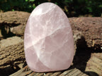 Polished Rose Quartz Standing Free Forms x 3 From Madagascar - Toprock Gemstones and Minerals 