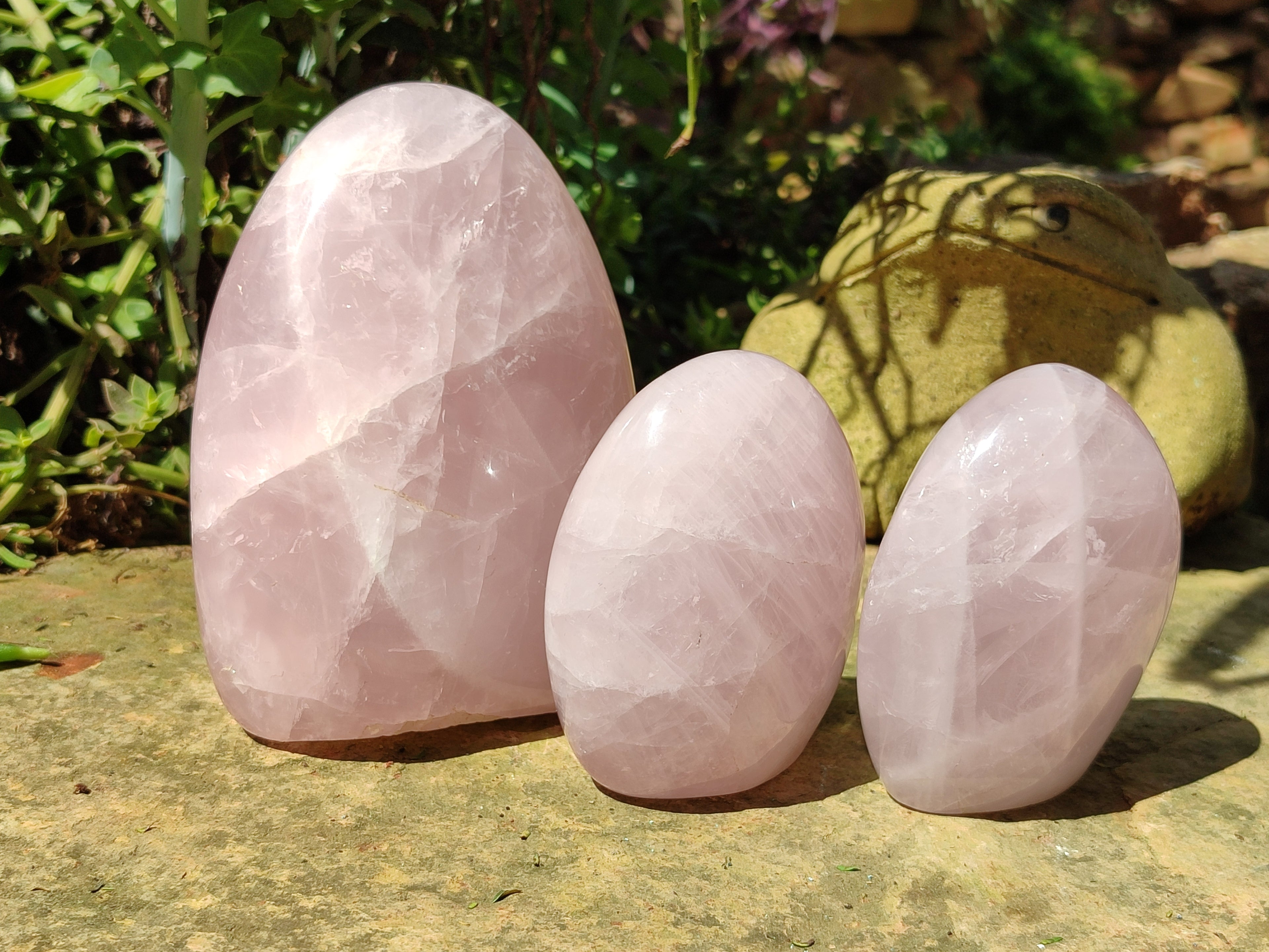 Polished Rose Quartz Standing Free Forms x 3 From Madagascar - Toprock Gemstones and Minerals 