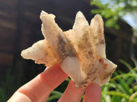 Natural Drusy Quartz Coated Calcite Pseudomorph Specimens x 12 From Alberts Mountain, Lesotho - Toprock Gemstones and Minerals 