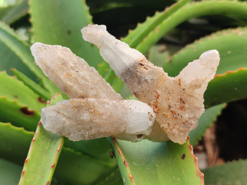 Natural Drusy Quartz Coated Calcite Pseudomorph Specimens x 12 From Alberts Mountain, Lesotho - Toprock Gemstones and Minerals 