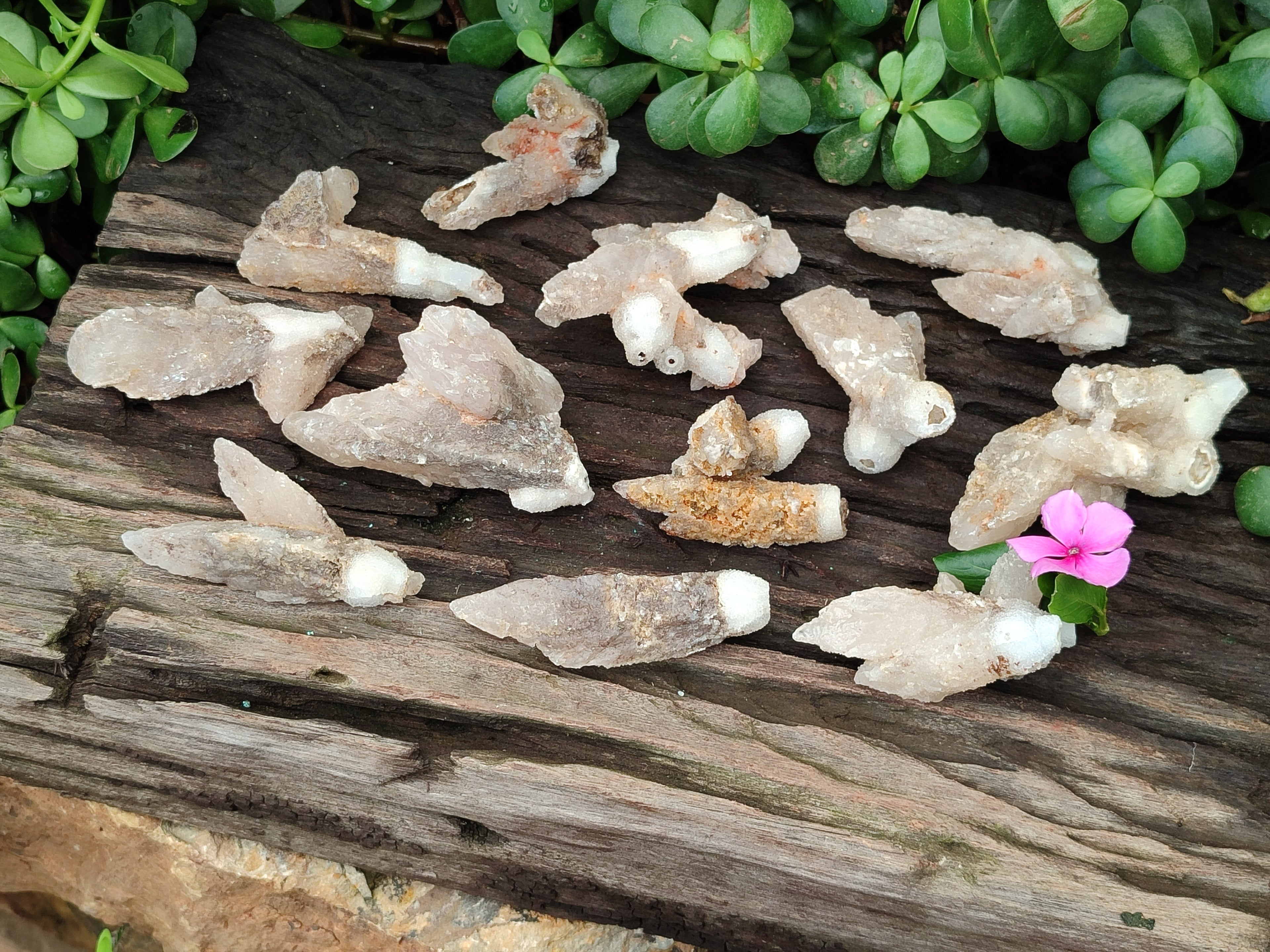 Natural Drusy Quartz Coated Calcite Pseudomorph Specimens x 12 From Alberts Mountain, Lesotho - Toprock Gemstones and Minerals 