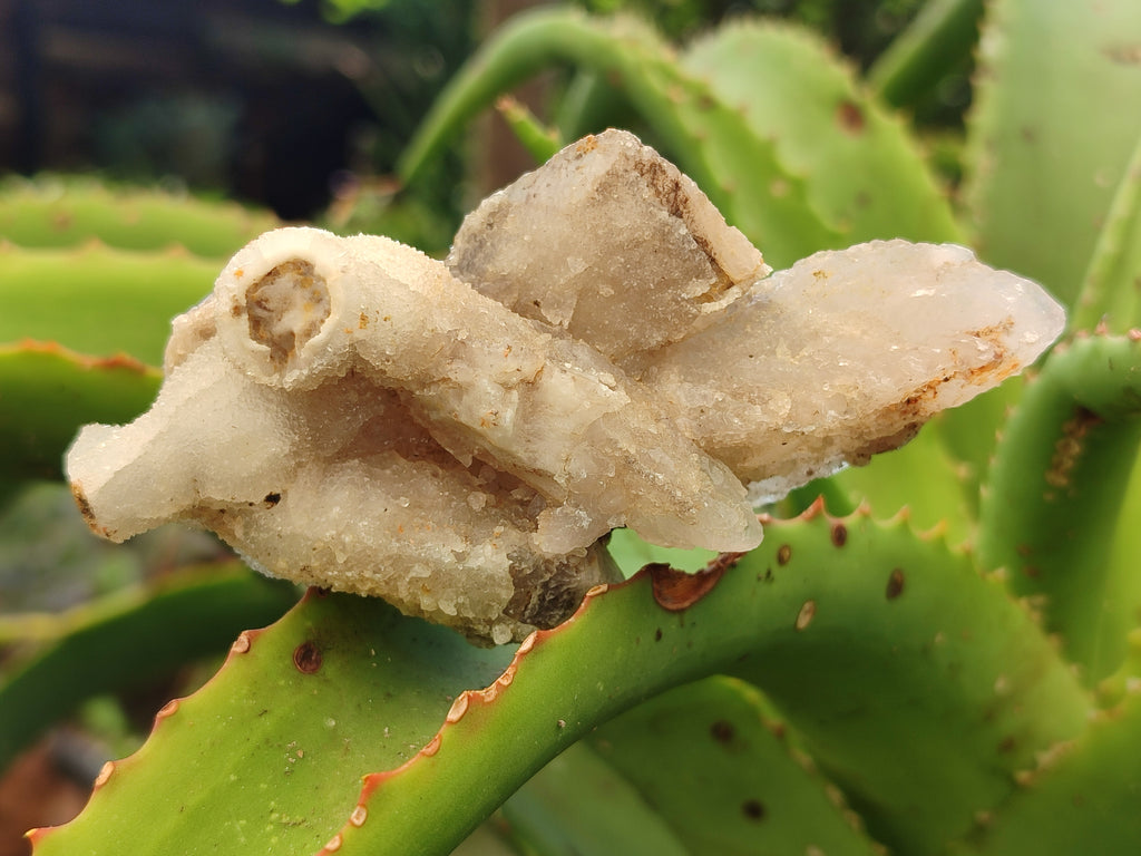 Natural Drusy Quartz Coated Calcite Pseudomorph Specimens x 12 From Alberts Mountain, Lesotho - Toprock Gemstones and Minerals 