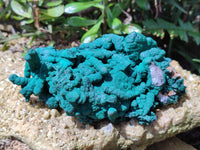 Natural Malachite Stalactite Specimen x 1 From Kolwezi, Congo - Toprock Gemstones and Minerals 