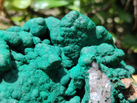 Natural Malachite Stalactite Specimen x 1 From Kolwezi, Congo - Toprock Gemstones and Minerals 