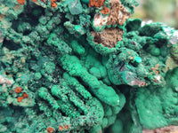Natural Malachite Stalactite Specimen x 1 From Kolwezi, Congo - Toprock Gemstones and Minerals 
