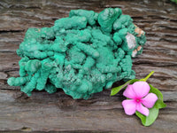 Natural Malachite Stalactite Specimen x 1 From Kolwezi, Congo - Toprock Gemstones and Minerals 