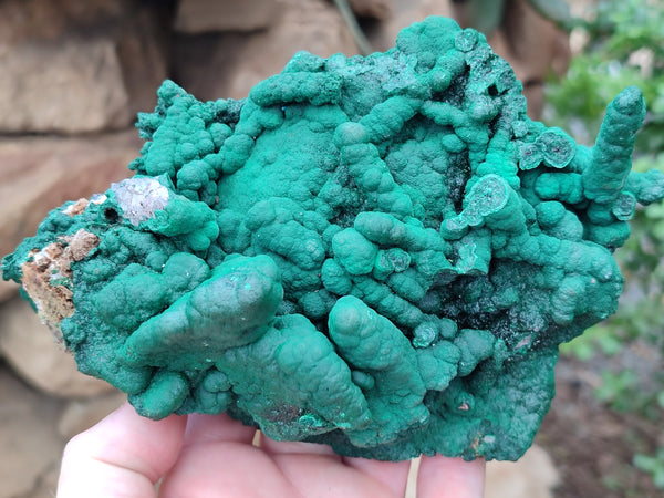 Natural Malachite Stalactite Specimen x 1 From Kolwezi, Congo - Toprock Gemstones and Minerals 