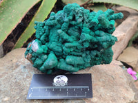 Natural Malachite Stalactite Specimen x 1 From Kolwezi, Congo - Toprock Gemstones and Minerals 