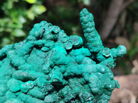 Natural Malachite Stalactite Specimen x 1 From Kolwezi, Congo - Toprock Gemstones and Minerals 